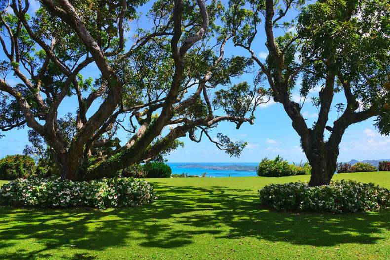 Location villa le Robert Martinique