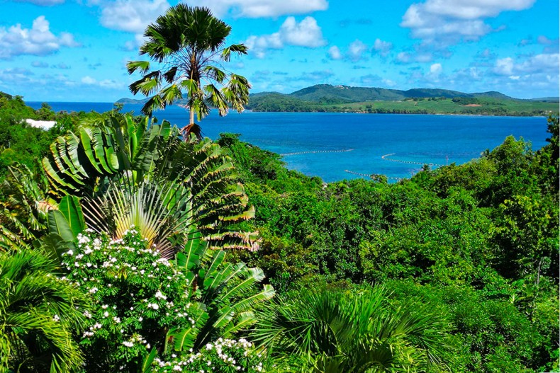 Vue villa Cap Créole