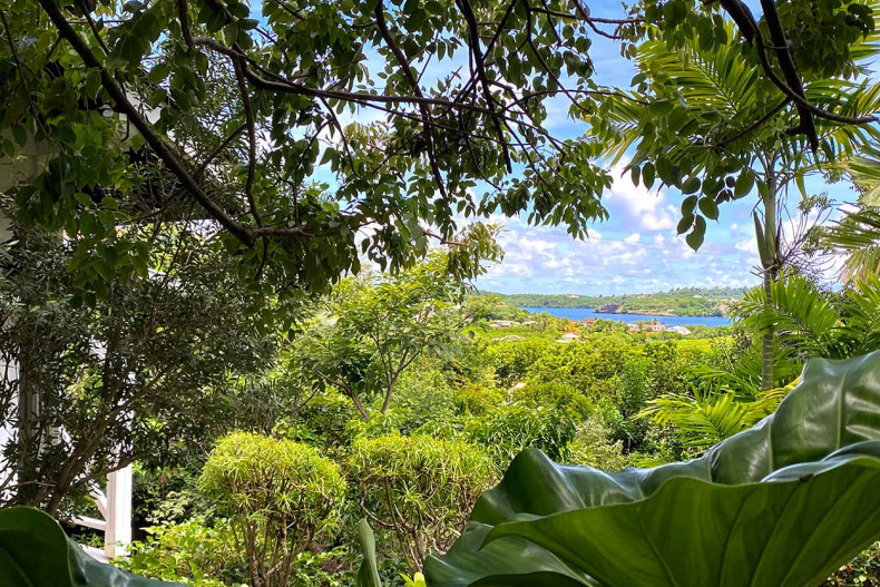 Cottage Cap Est Martinique vue mer