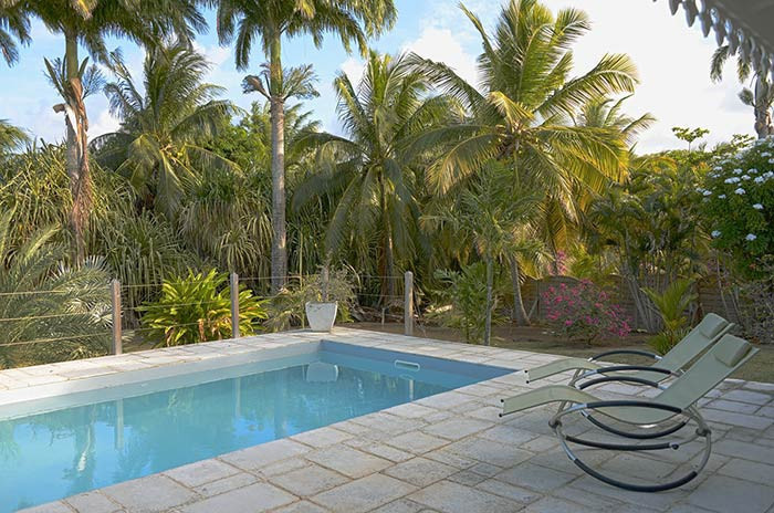 La piscine pour se détendre sous le regard des palmiers royaux
