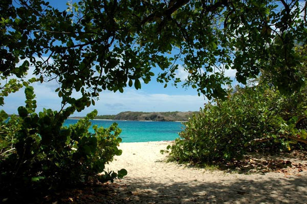 Le Marin - Plage de Cap Macré belle et ombragée à 3 kilomètres.