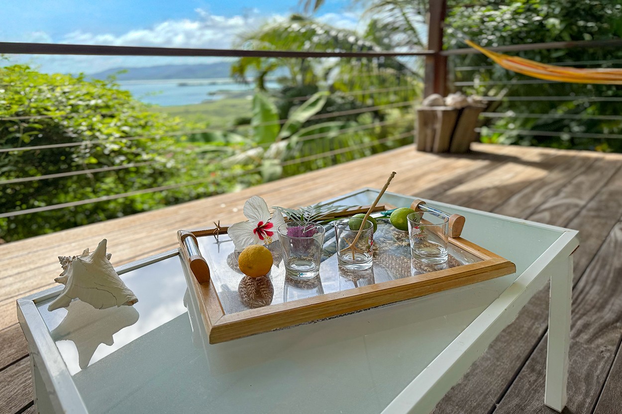 BOIS EXOTIQUE 2 belle vue sur la mer Location piscine Le Robert Martinique -