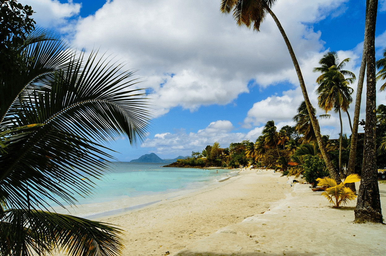 Rivière Pilote - Plage anse figuier