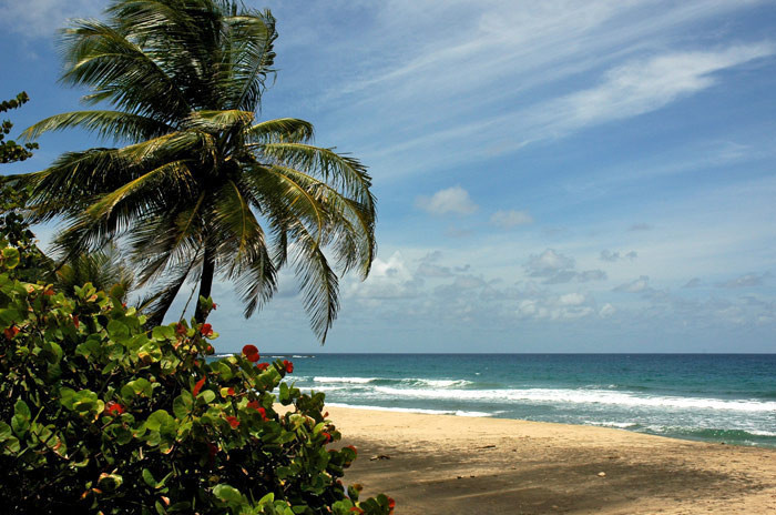Le Marigot - Magnifique plage sauvage de sable blanc où vous ne vous lasserez pas de vous promener. BAIGNADE INTERDITE