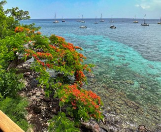 Flamboyanr Appartement luxe aux Anse d'Arlet