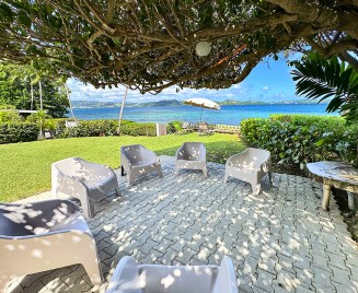 A l'ombre de l'arbre parasol