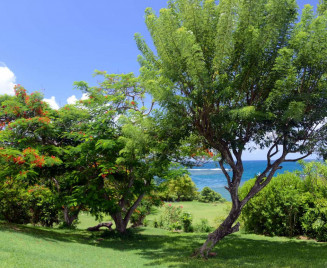 location vue mer tartane martinique