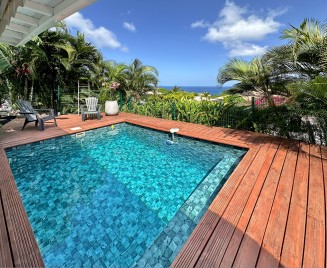 Coquillage anse d'arlet