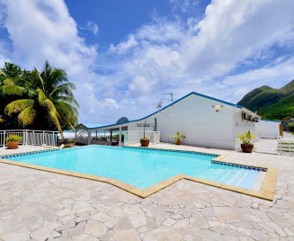 Fleur du rocher Pisine