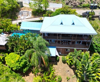 Grand  petit Bresil Tartane drone