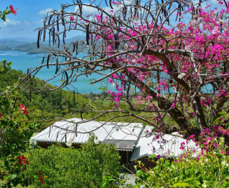 locatation villa tartane