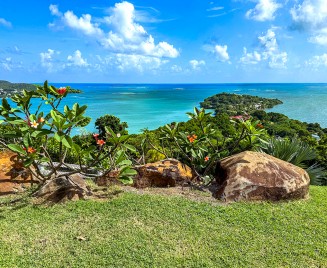 Domino Villa de luxe martinique jardin
