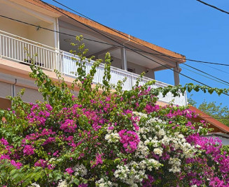 Location Kaï petite anse d'arlet martiique
