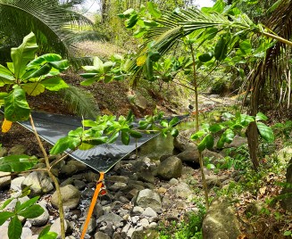 Le hamac de la rivière salée