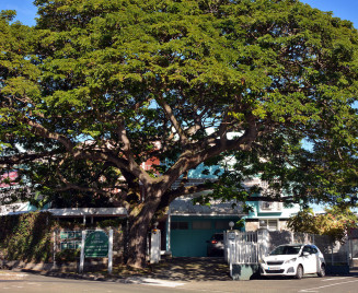 Location F4 fort de france Zamana F4