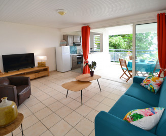 Location joli  petit appartement T2 le Diamant