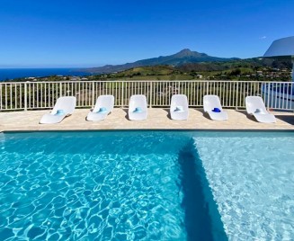 Maison de l'artiste piscine