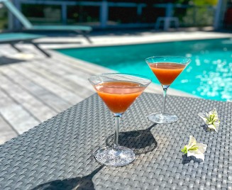 Petit Bungalow le François apéro