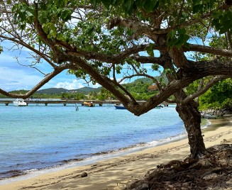 Plage de Fond Basile Tartane
