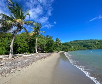 Plage Tartane villa Cap Nature