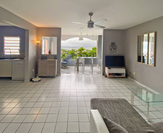 Sommets Anse mitan duplex salon