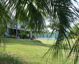 Un environement verdoyant TANTE MAY