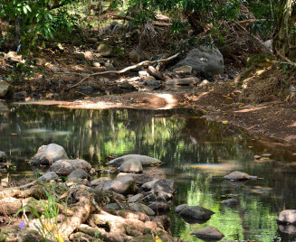Location maison pas chère sud Martinique