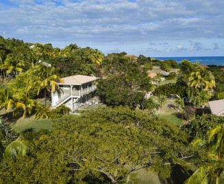 Villa dans la nature Martinique grand jardin piscine