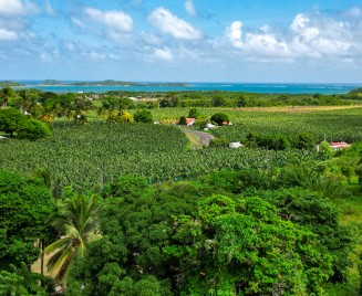 Maison le françois location martinique piscine vue mer