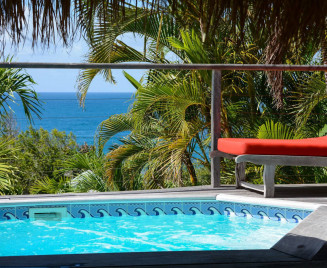 Stage Tartane Martinique