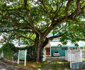 Location appartement fort de france le zamana