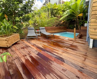 T2 Sainte Luce Vue Mer piscine vie créole