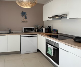 F3 Cocotier Bleu Location le Diamant