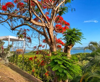 Villa de luxe Martinique le Robert