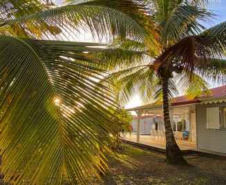 Fleur de Coton Entrée