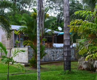 la piscine au milieu de la palmeraie martinique location vacances