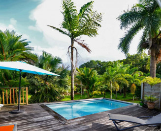maison dans une palmeraie en martinique