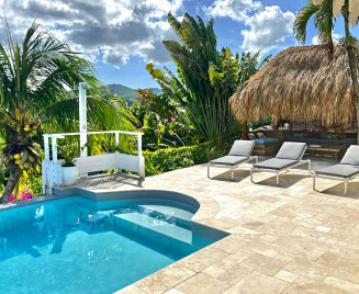 villa sud Martinique Piscine