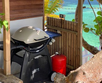 Villa Pointe Cap Est BBQ