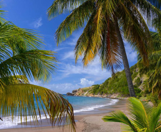 Plage Petite Anse Martinique