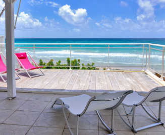 Petite Fleur du rocher face à la mer