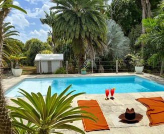 Villa Martinique les Palmiers Royaux piscine cocktail