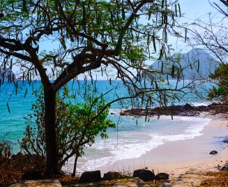 F3 Cocotier Bleu Location le Diamant