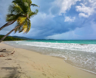 plage du diamant en martiniue