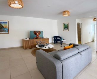 F3 Cocotier Bleu Location le Diamant