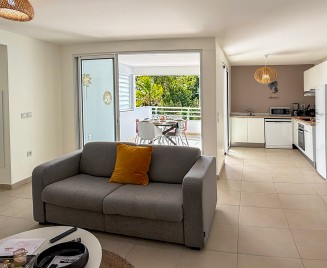 F3 Cocotier Bleu Location le Diamant