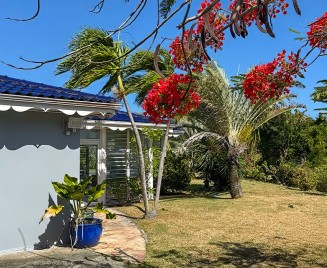 Villa Martinique Toits bleus atlantique