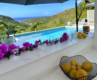 locations villa Martinique piscine
