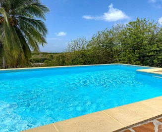 location piscine vue mer Sainte Anne Haut Nympéea