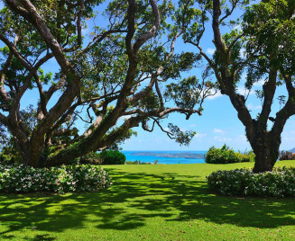 Location villa le Robert Martinique